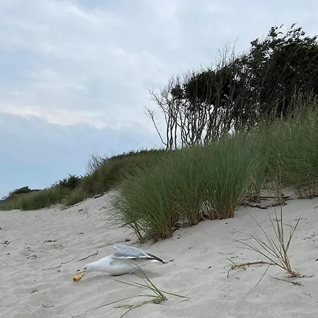 Ostseeresidenz - App 08 Meeresrauschen